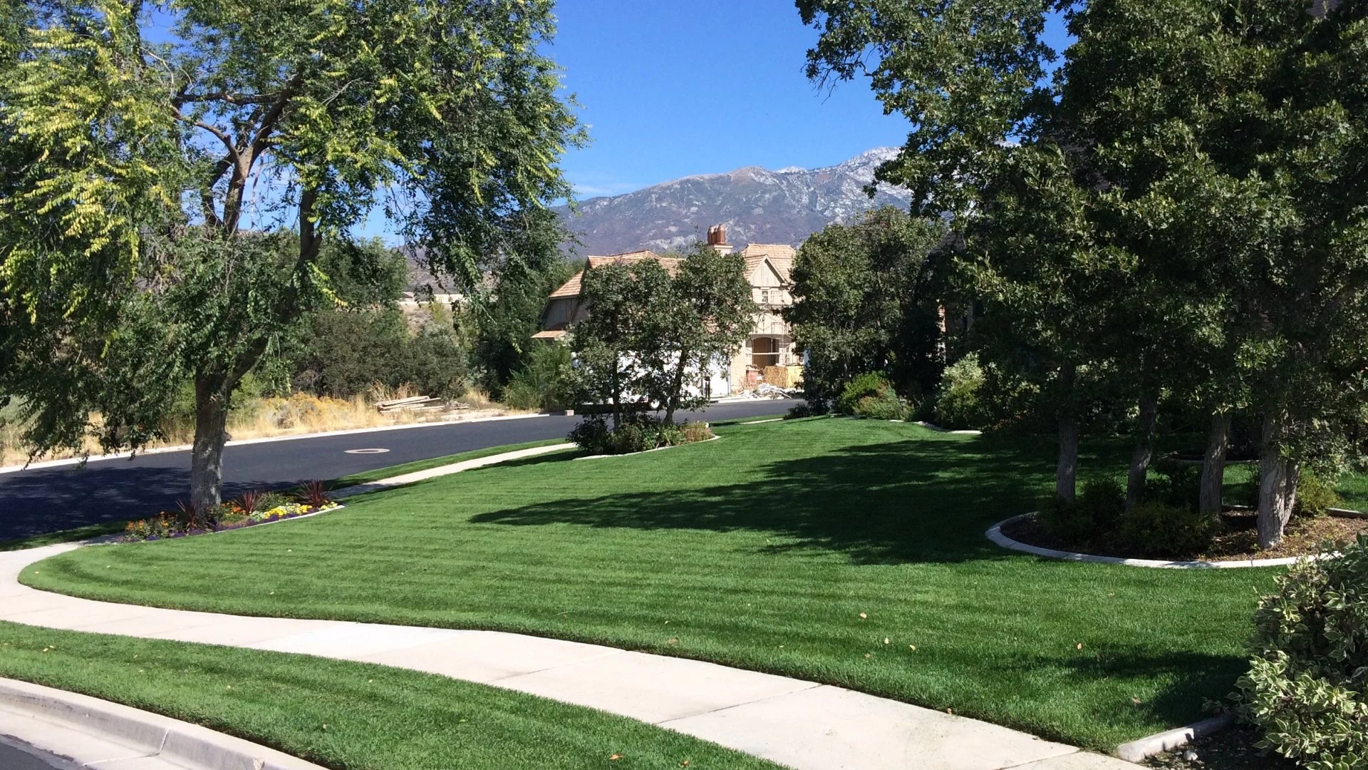 How Long Will It Take for a Fertilizer Treatment to Be Absorbed by a Lawn?