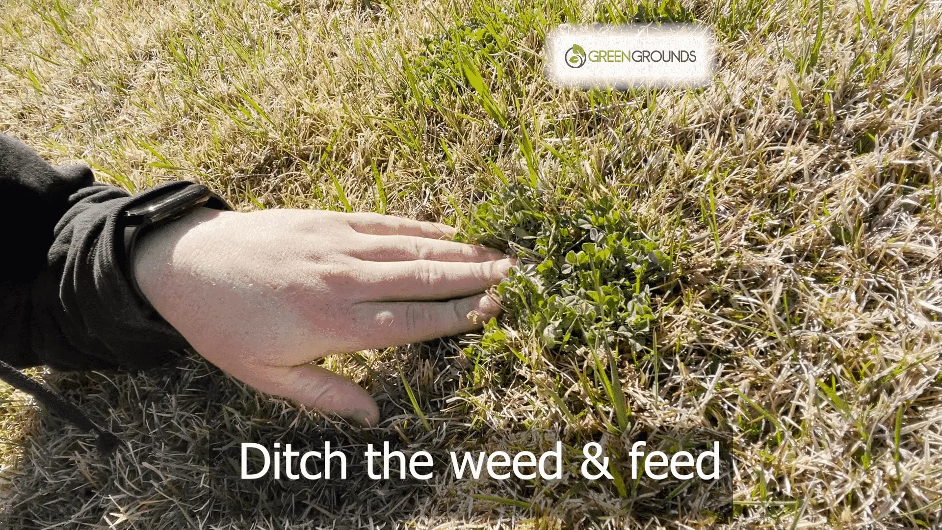 DIY Lawn Fertilizer: Is It Worth It?