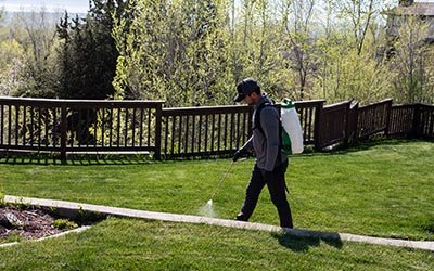 Professional Weed Control in Utah: Maintaining a Lush, Green Oasis in the Desert
