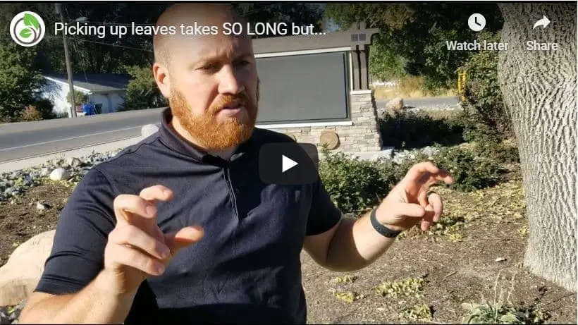 Lehi Leaf Pickup Tip of the Week