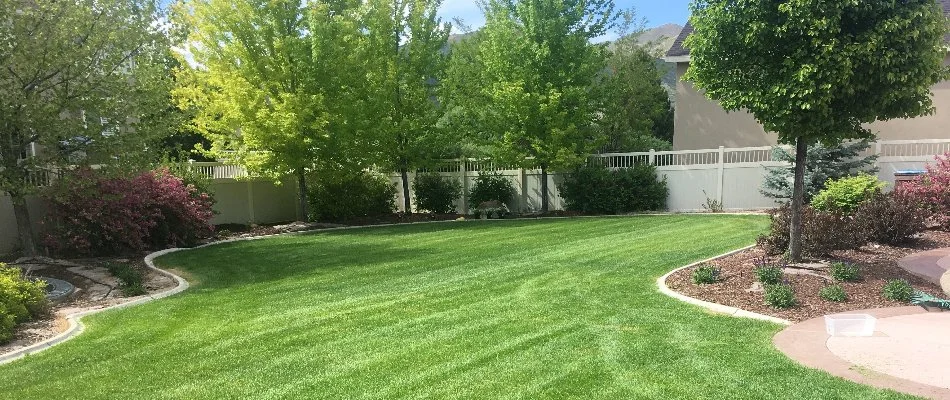 Neat, green lawn in Draper, UT, with trees and landscaping.
