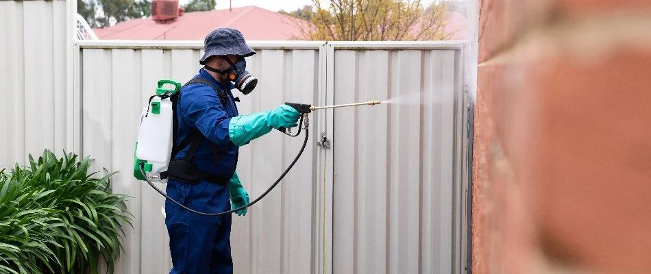 Worker spraying perimeter pest control treatment on an exterior wall.