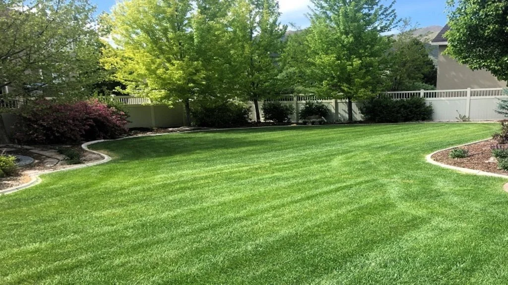 Manicured back yard in Midway, UT with lawn care services.
